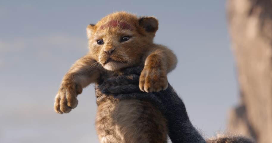 THE LION KING roars into theatres on July 19, 2019