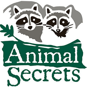 KOHL Children’s Museum Brings Innovative and Impactful “Animal Secrets” Pop-up Museum to Round Lake Beach