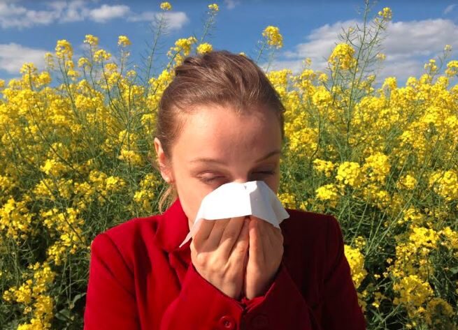 Keep Those Windows Closed! How to Deal with Allergies During the Sneezing Season
