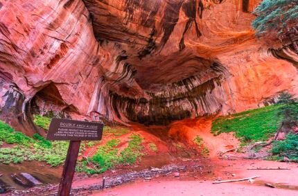 3 Incredible Winter Hikes in Zion National Park