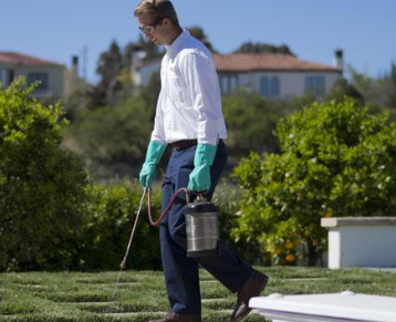 How Effective Is Organic Pest Control for Your Home?