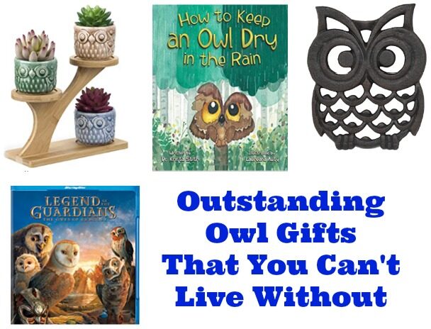 Outstanding Owl Gifts You Can’t Live Without