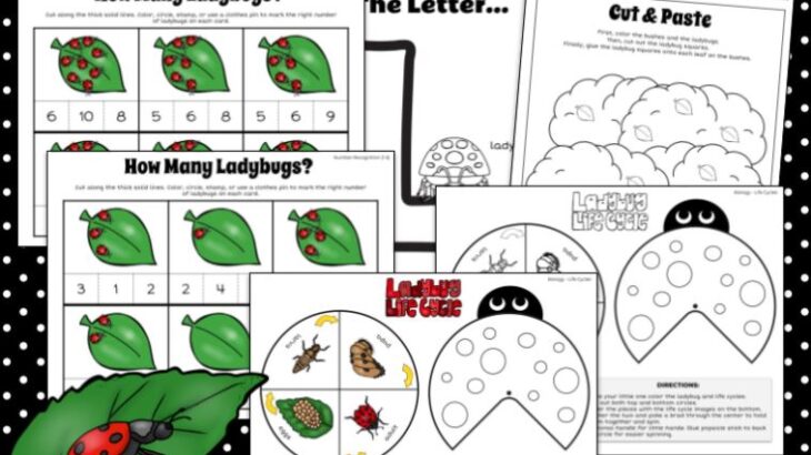 Free Printable Ladybug Themed Themed Worksheets for Kindergarten - 1st