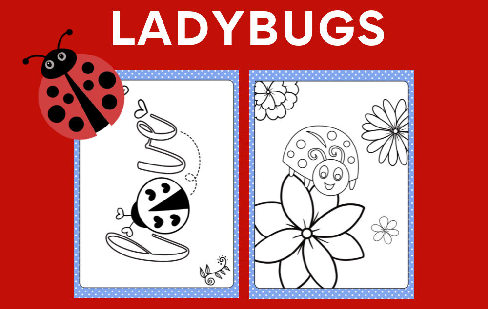 Ladybug coloring page  Free Printable Coloring Pages