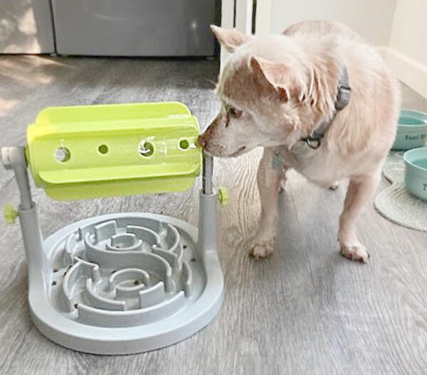 Promote Slow Eating and Increase Your Dog’s IQ with this Slow Dog Food Feeder with Maze Tray