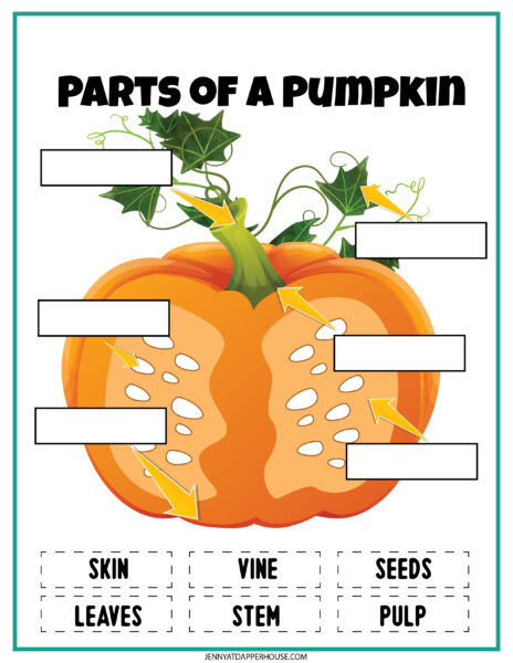 Free Printable 7 Page Pumpkin Themed Learning Activity Pack - Jenny at ...