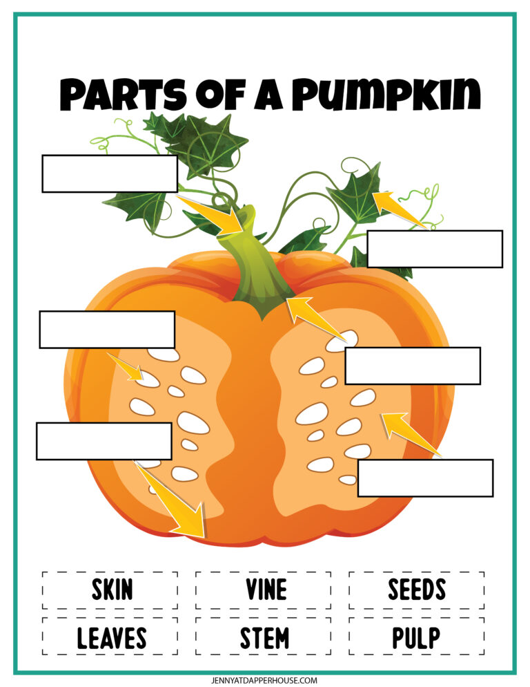 Free Printable 7 Page Pumpkin Themed Learning Activity Pack - Jenny at ...