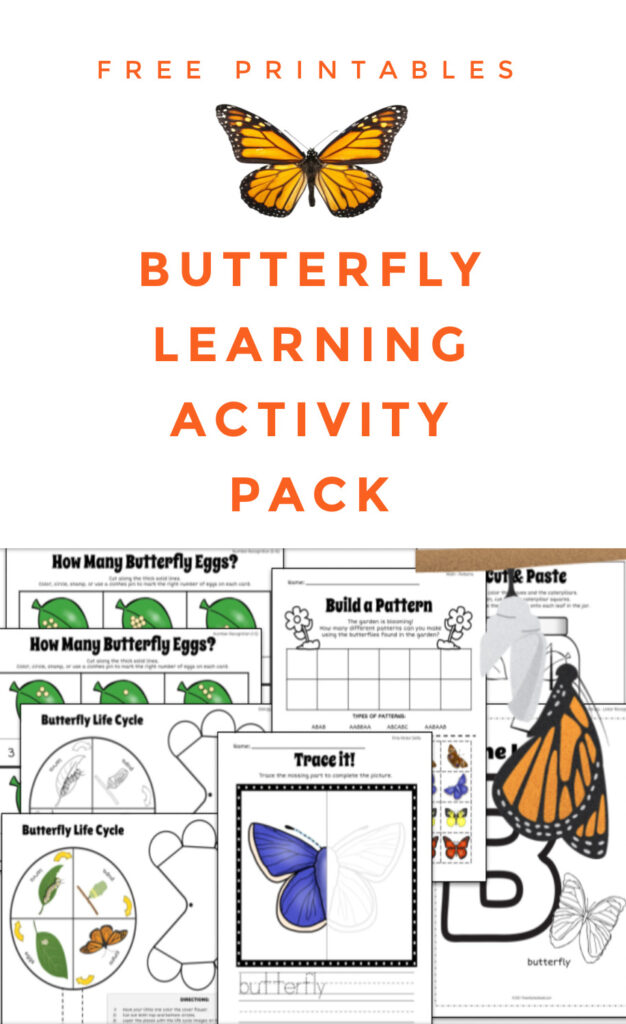 Free Printables All About Butterflies Learning Activity Pack - Jenny at ...