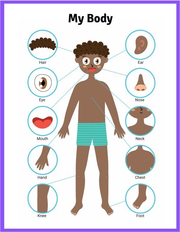 Body Parts and 5 Senses Free Printables for Children
