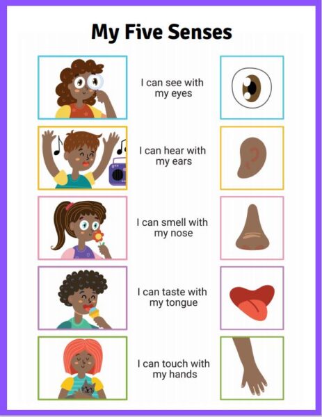 Body Parts and 5 Senses Free Printables for Children - Jenny at dapperhouse