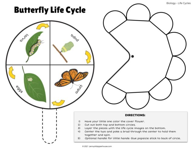 Free Printables All About Butterflies Learning Activity Pack - Jenny at ...