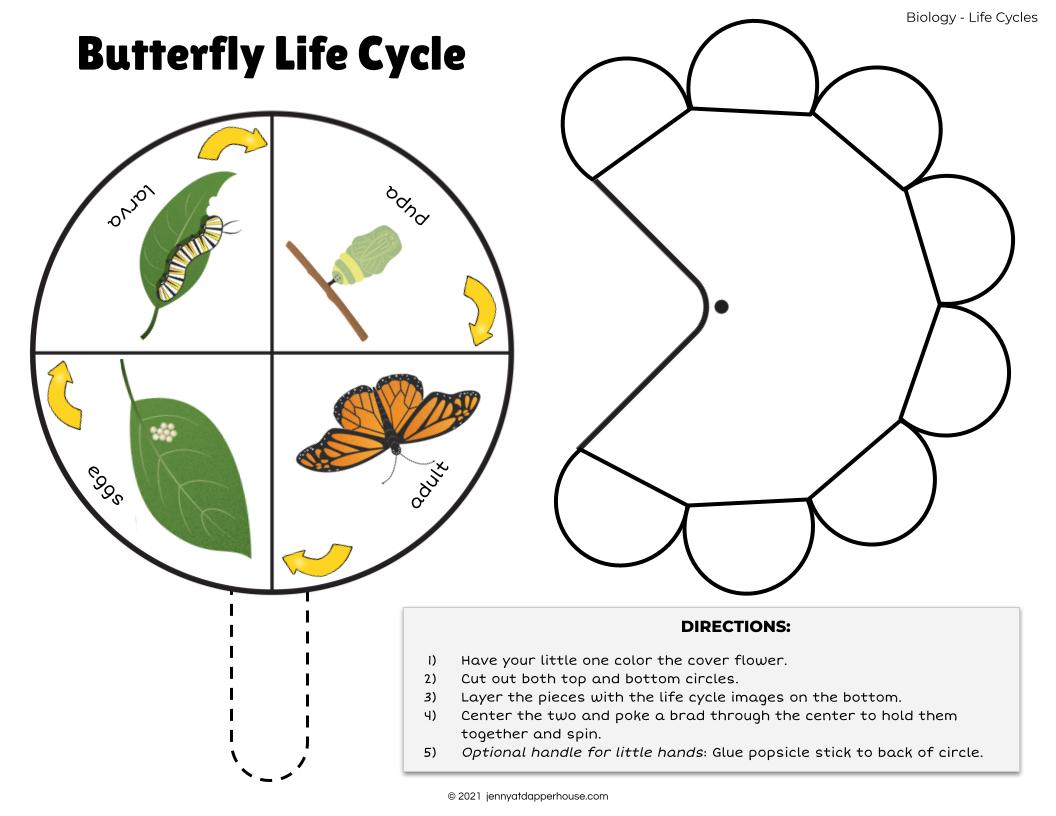 Free Printables All About Butterflies Learning Activity Pack - Jenny At 