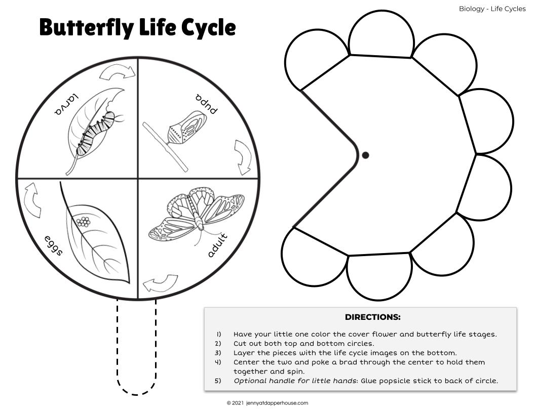 Free Printables All About Butterflies Learning Activity Pack - Jenny at ...