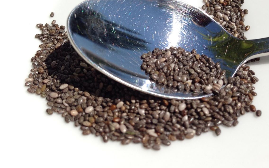 Why Are Chia Seeds Healthy? Jenny at dapperhouse