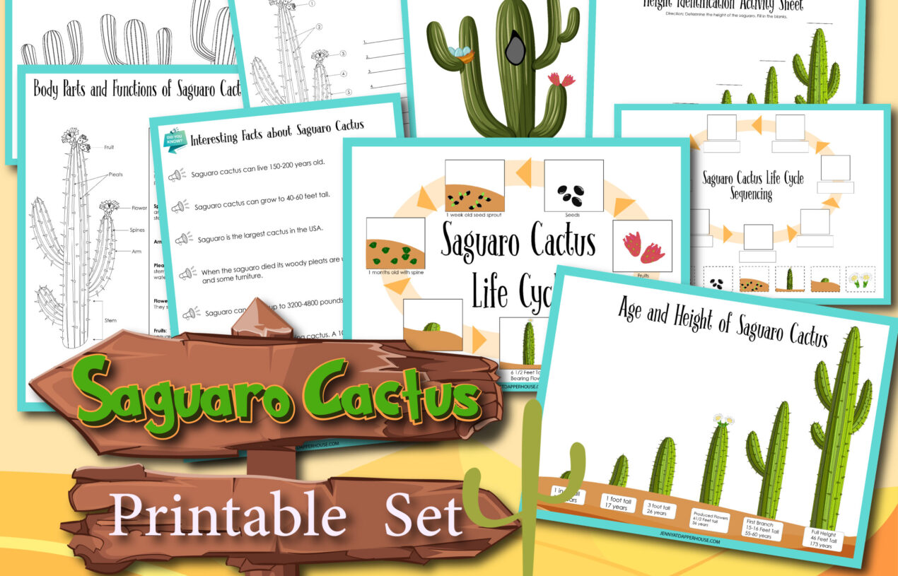 All About Saguaro Cactus Free Printable Learning Activity Pages