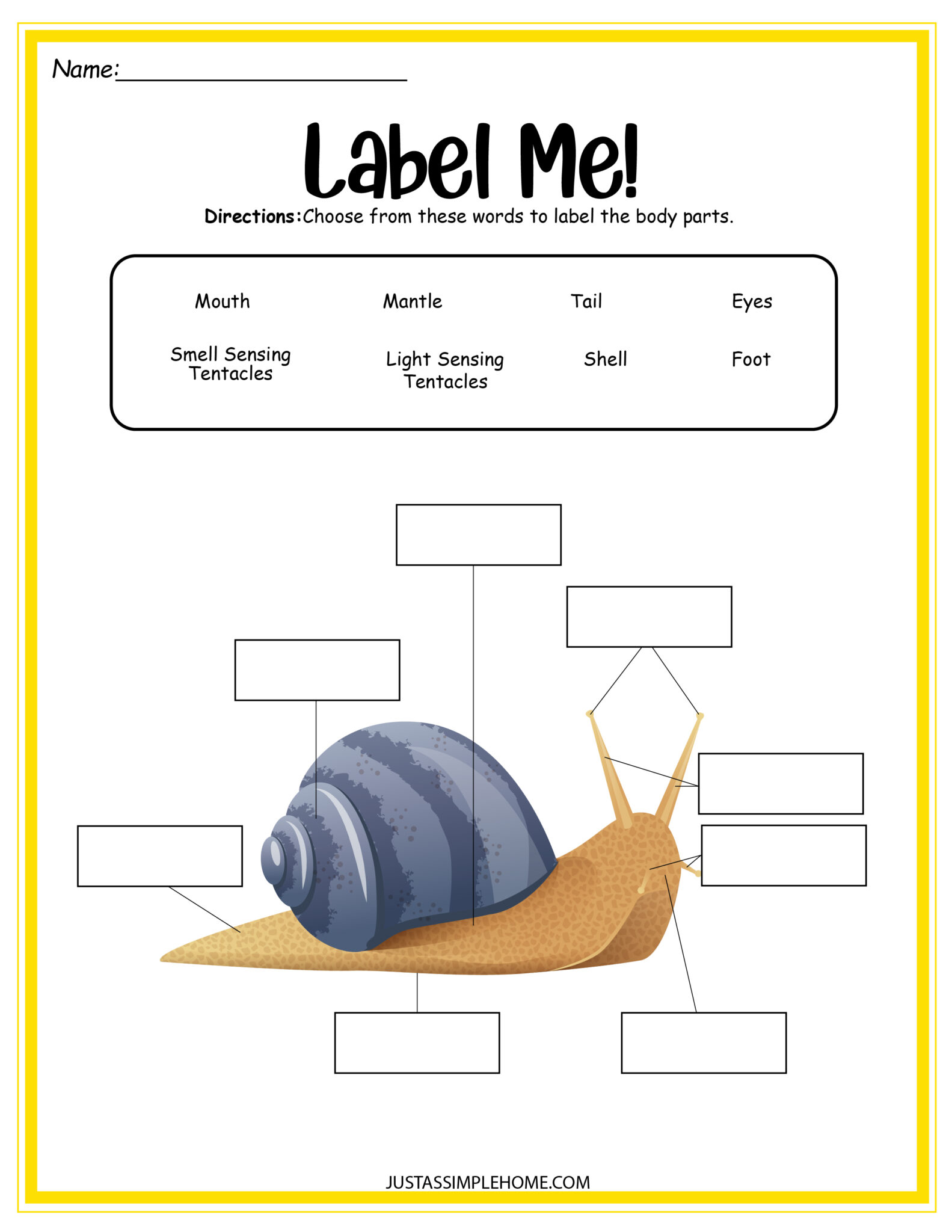 8 Page Science Activity Pack About Snails Free Printables - Jenny at ...