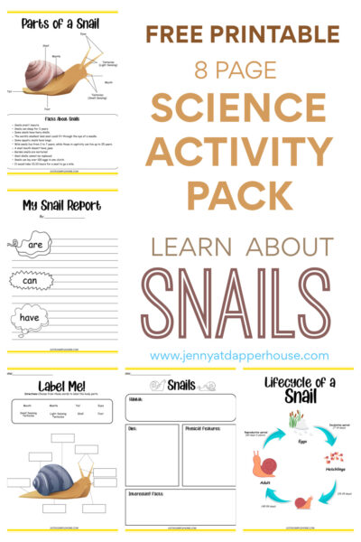 8 Page Science Activity Pack About Snails Free Printables - Jenny at ...