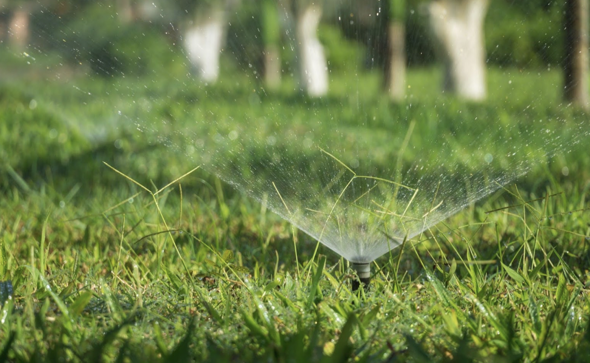 Guide to Mr. Lawn Grass Installation And Lawn Maintenance Services