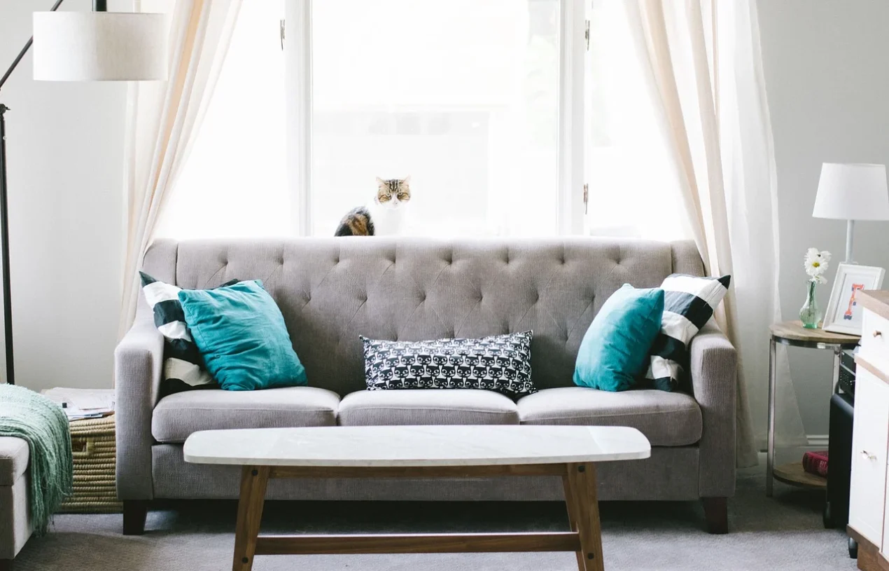 5 Aspects to Consider Before Buying Your Living Room Furniture