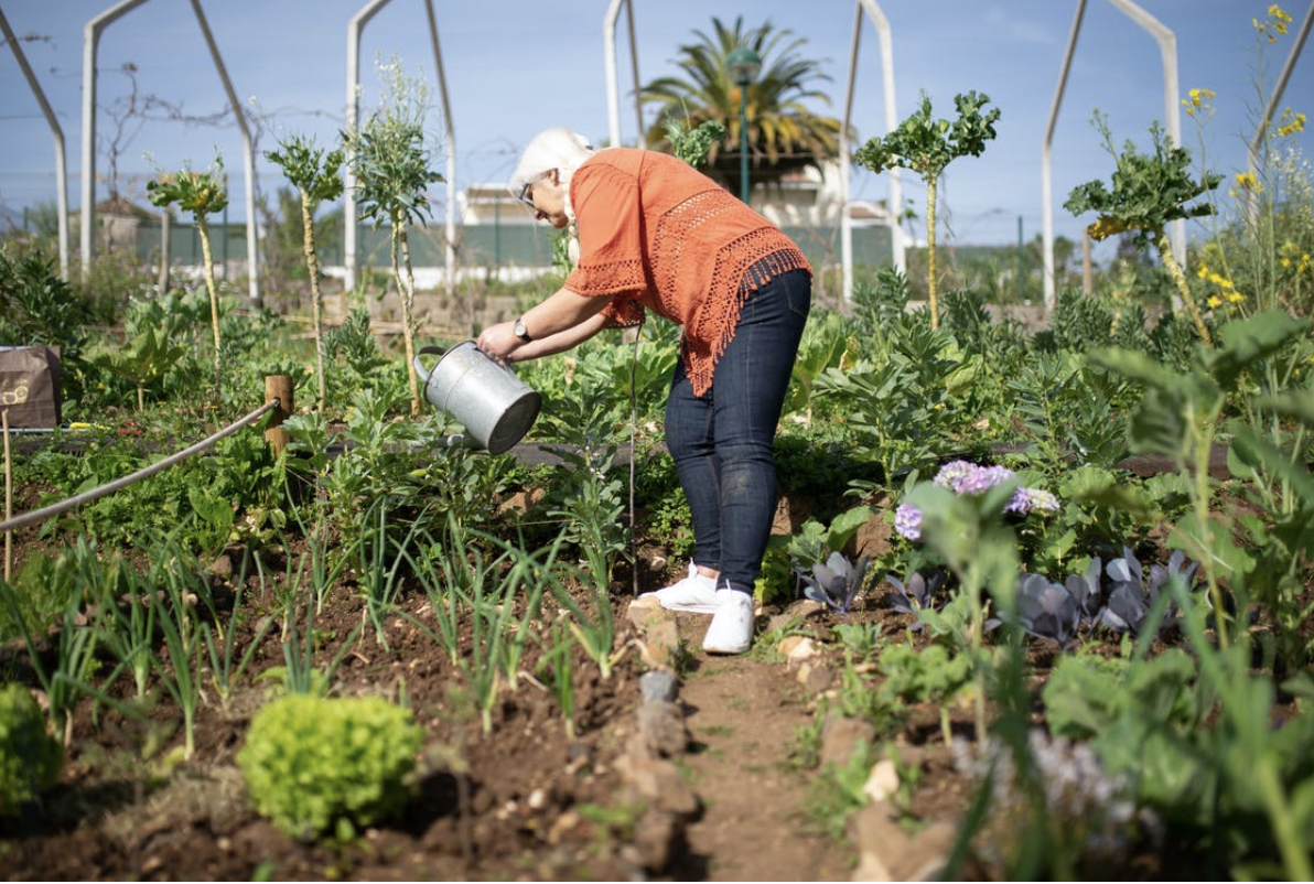 Attending To Your Garden Despite Mobility Issues