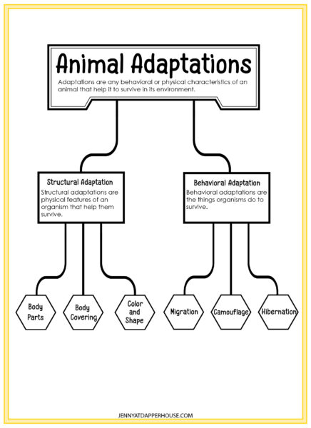 Free Printable 11 Page Animal Adaptations Educational Packet - Jenny at ...