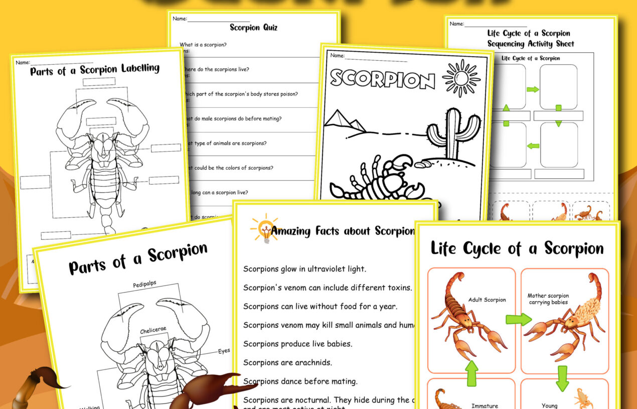 7 Page Scorpion Learning Packet – Free Printable