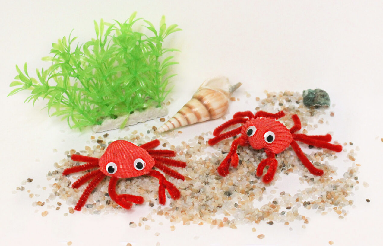 Sea Shell Crab Craft DIY Seashell Crabs