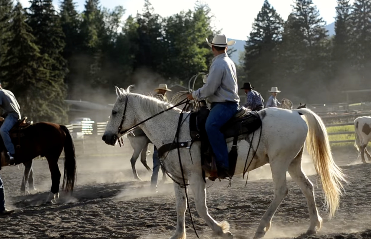 5 Reasons Why Guest Ranch Resorts Are the Perfect Family Getaway ...