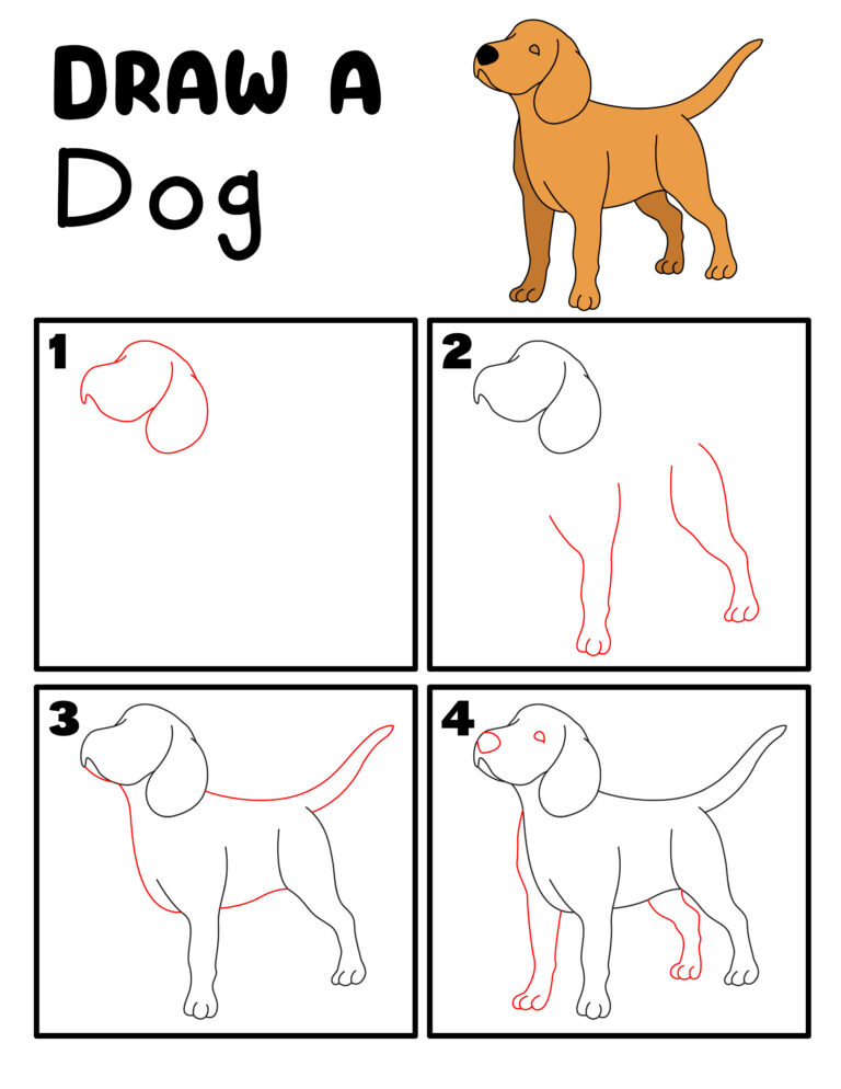 4 Step Directed Drawing Cards for Kids Pet Edition - Jenny at dapperhouse