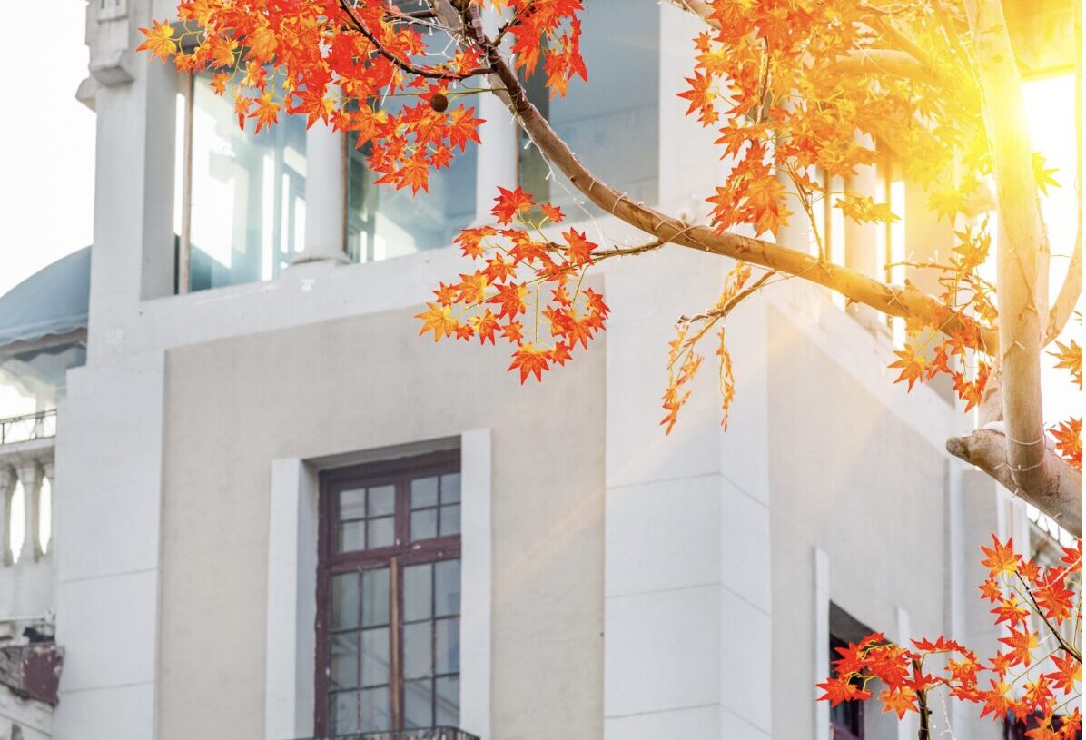 5 Simple Autumn Home Maintenance Tasks